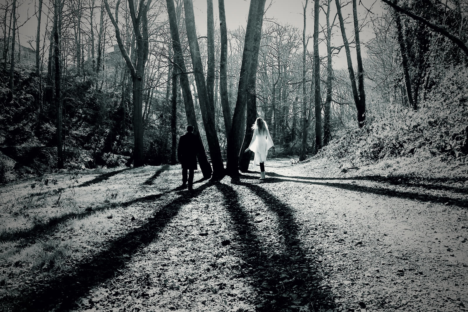 Two figures on a woodland path, long winter shadows